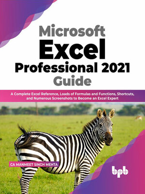 cover image of Microsoft Excel Professional 2021 Guide
